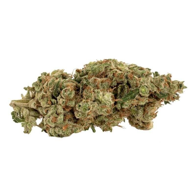 Catch Me Outside Rooster Call - Sativa