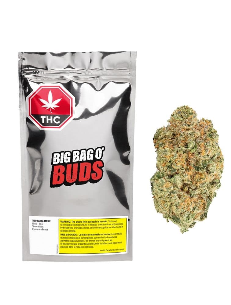 BBOB