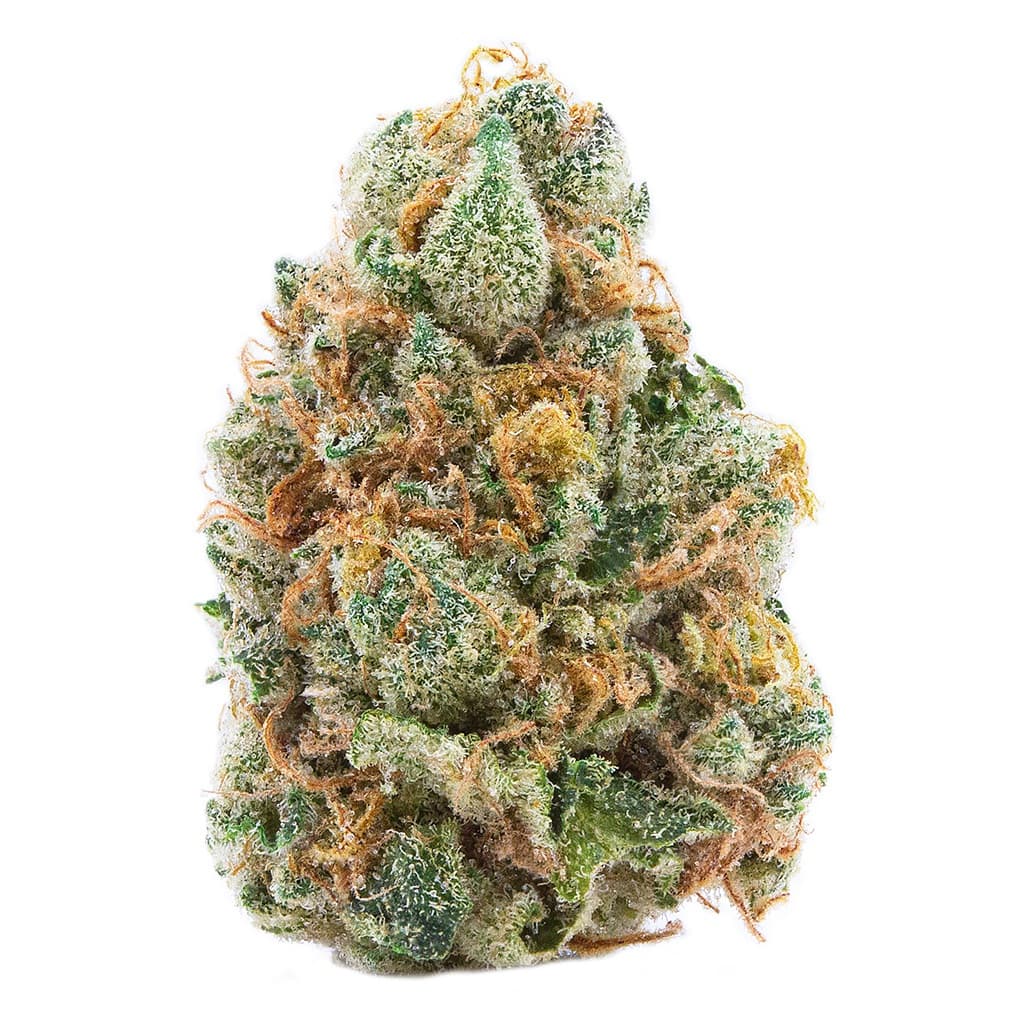 Spinach GMO Cookies - Indica