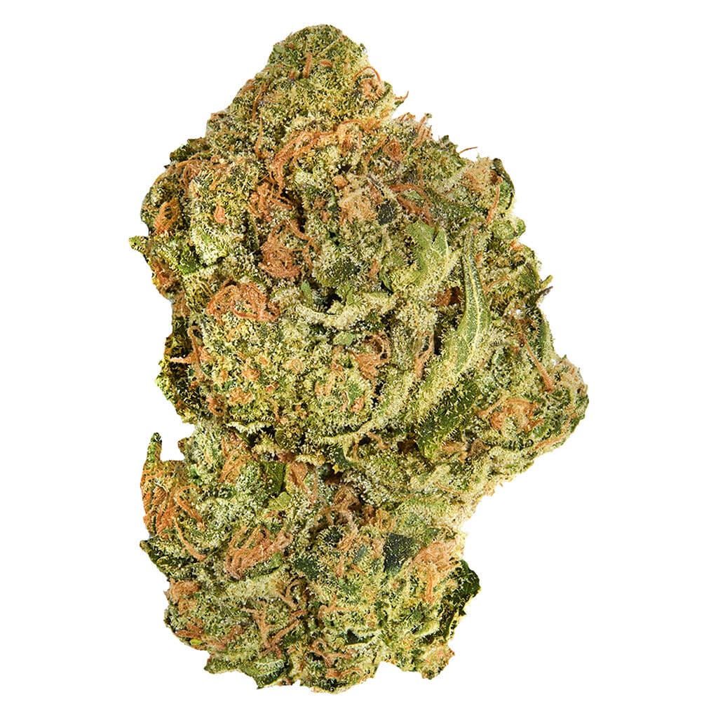 Good Supply Brand New Buds - Hybrid