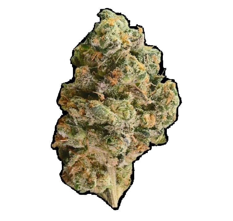 Next Friday Mutant Tire Fire - Hybrid
