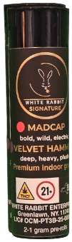 White Rabbit