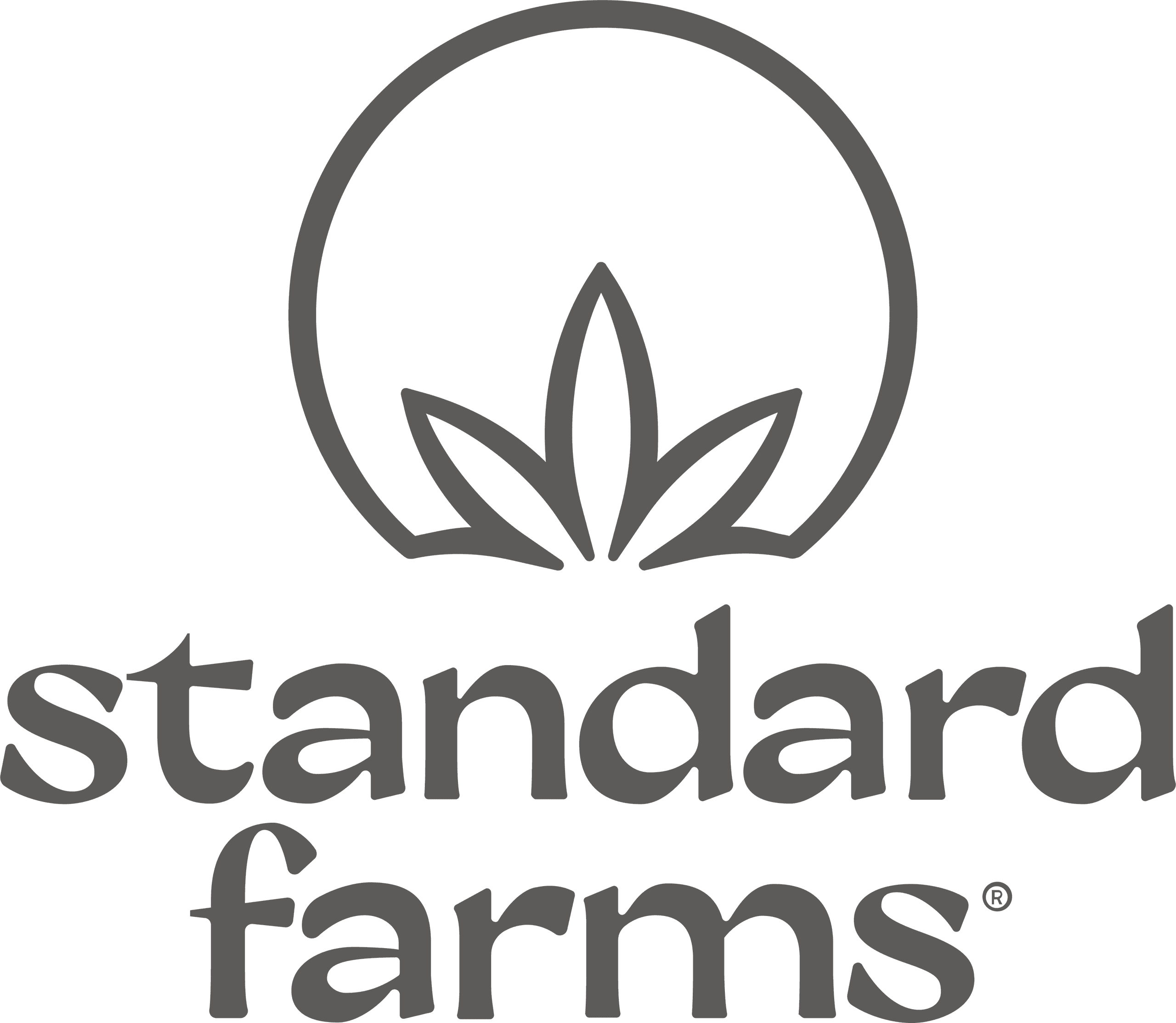 Standard Farms Smores High Dose Milk Chocolate Bar