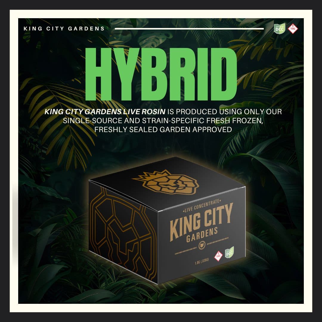 King City Gardens Rainbow Guava Live Rosin Badder