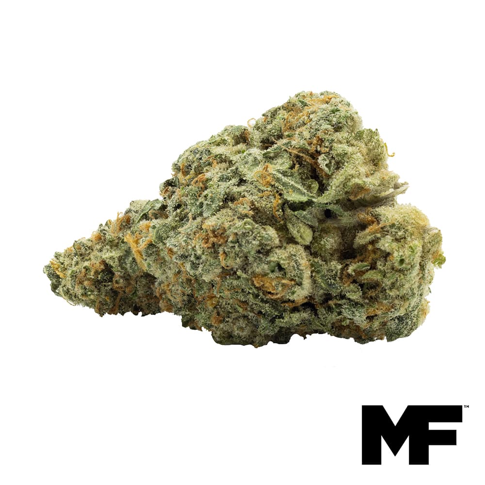 Modern Flower