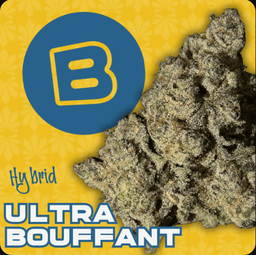 Buckeye Ultra Bouffant