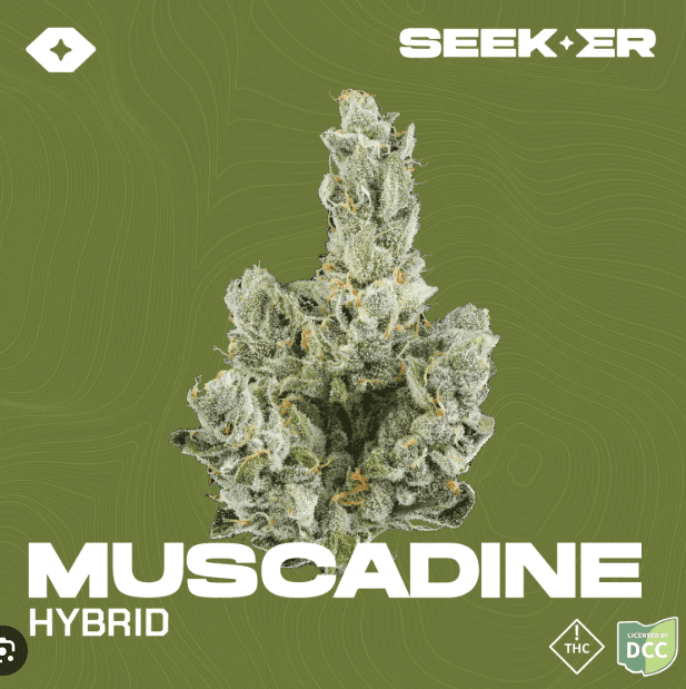 Seeker Muscadine | Flower 3.5g