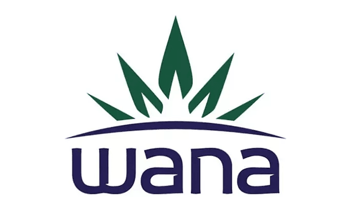 Wana Mango Classic Sour Gummies 10pk - 1316634