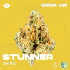 Seeker Stunner - 2.83g