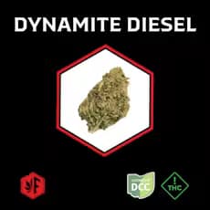 Firebrand Dynamite Diesel (H) - 3.5g