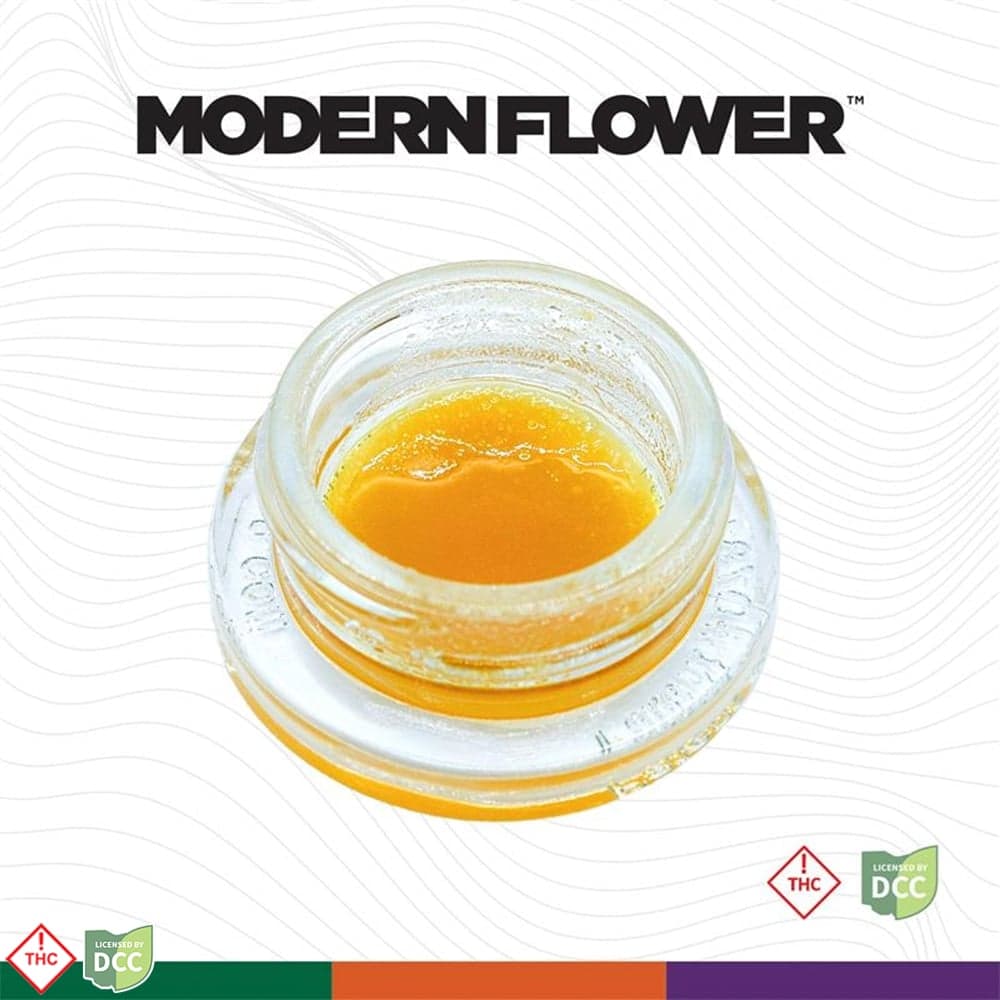 Modern Flower