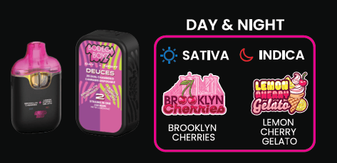 Bodega boyz 2G Dual Chamber - Brooklyn Cherries/ Lemon Cherry Gelato