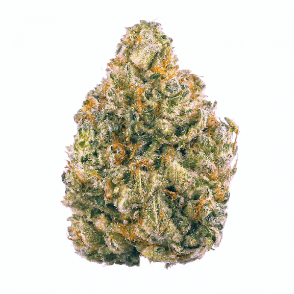 PLATINUM RESERVE Northern Lights Flower | Platinum Reserve |