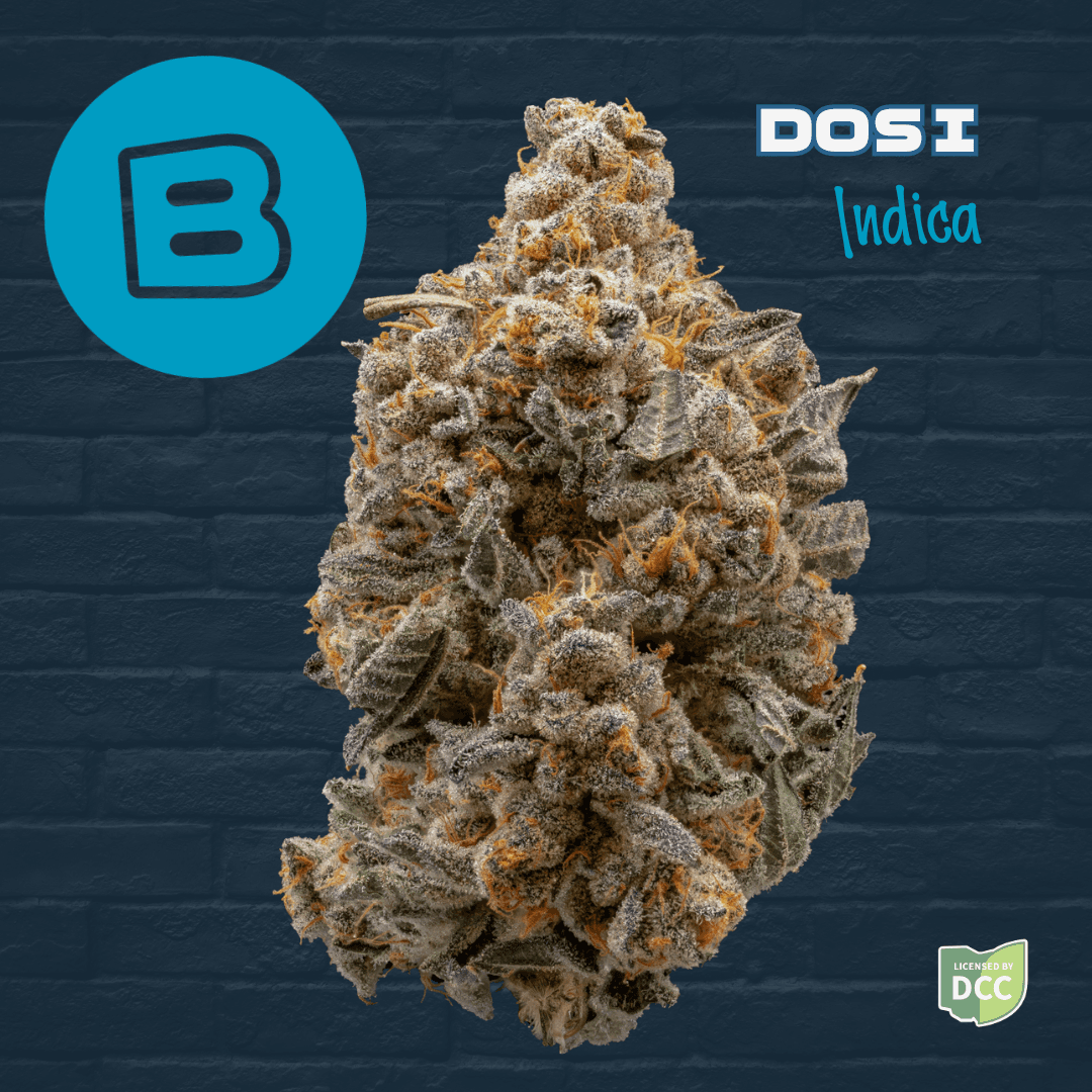 Buckeye Dosi | 3.5g Bigs