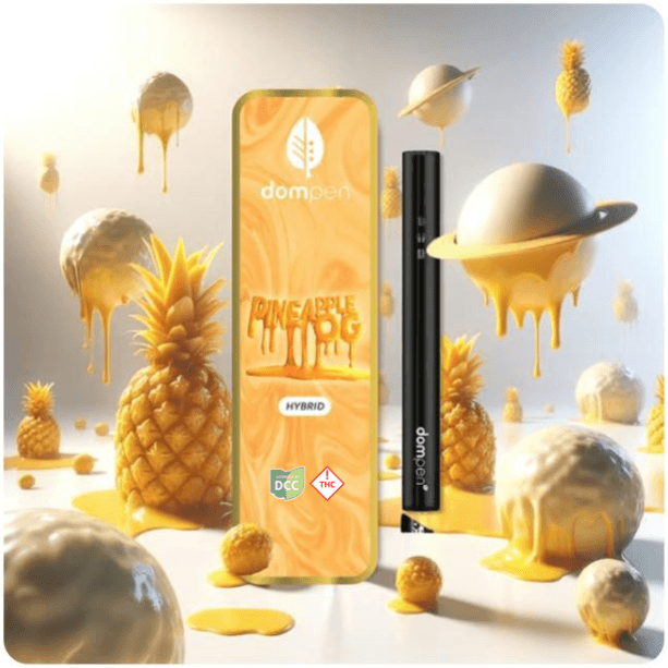 dompen™ Dompen POG (H) AIO Disposable 1g