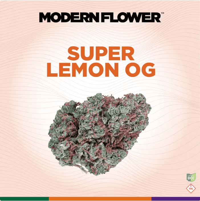 Modern Flower