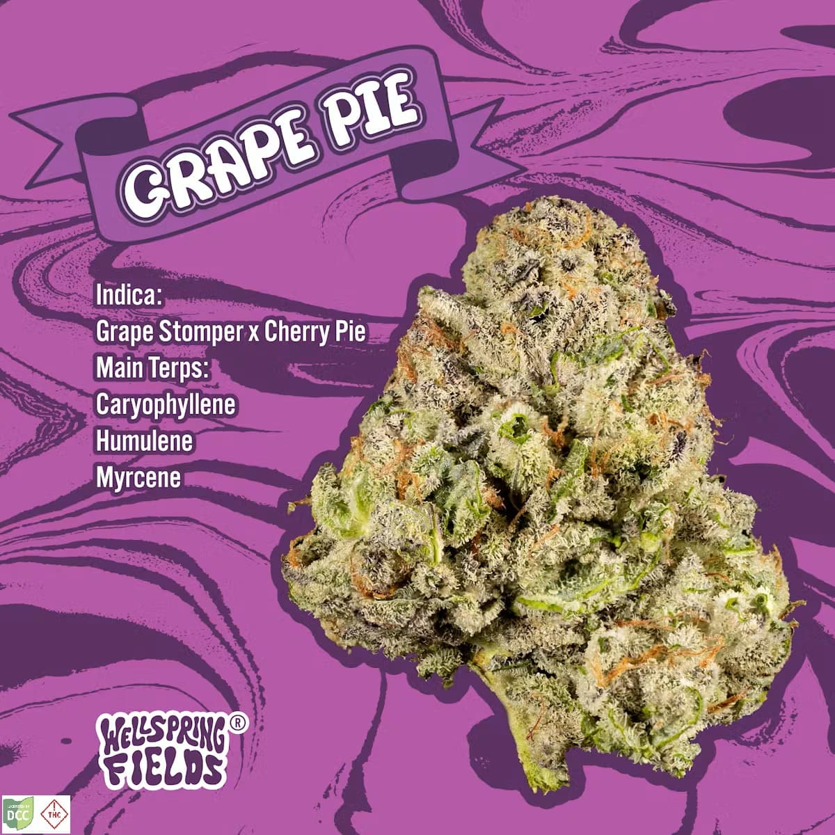 Wellspring Fields Wellspring Fields Grape Pie 2.83g Indica Flower