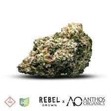 Anthos Rebel x Anthos | Island Mountain Headband (Buds) 3.5g | Hybrid
