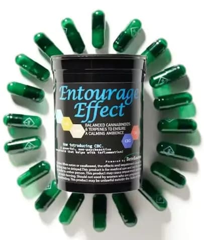 BeneLeaves Beneleaves | Micro Entourage Effect 22pc | 110mg Capsules