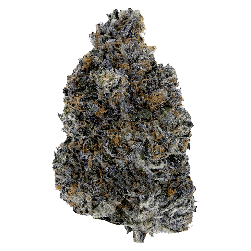 Woody Nelson Dark Rainbow - Indica