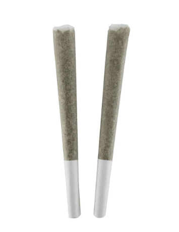 BC Doobies