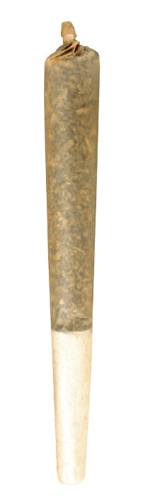 LITTI. Pre-rolls
