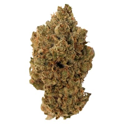 Pineapple Buds