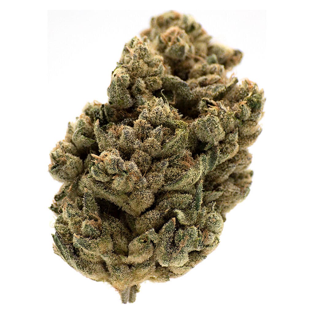 MTL Cannabis Jungl' Cake - 14g