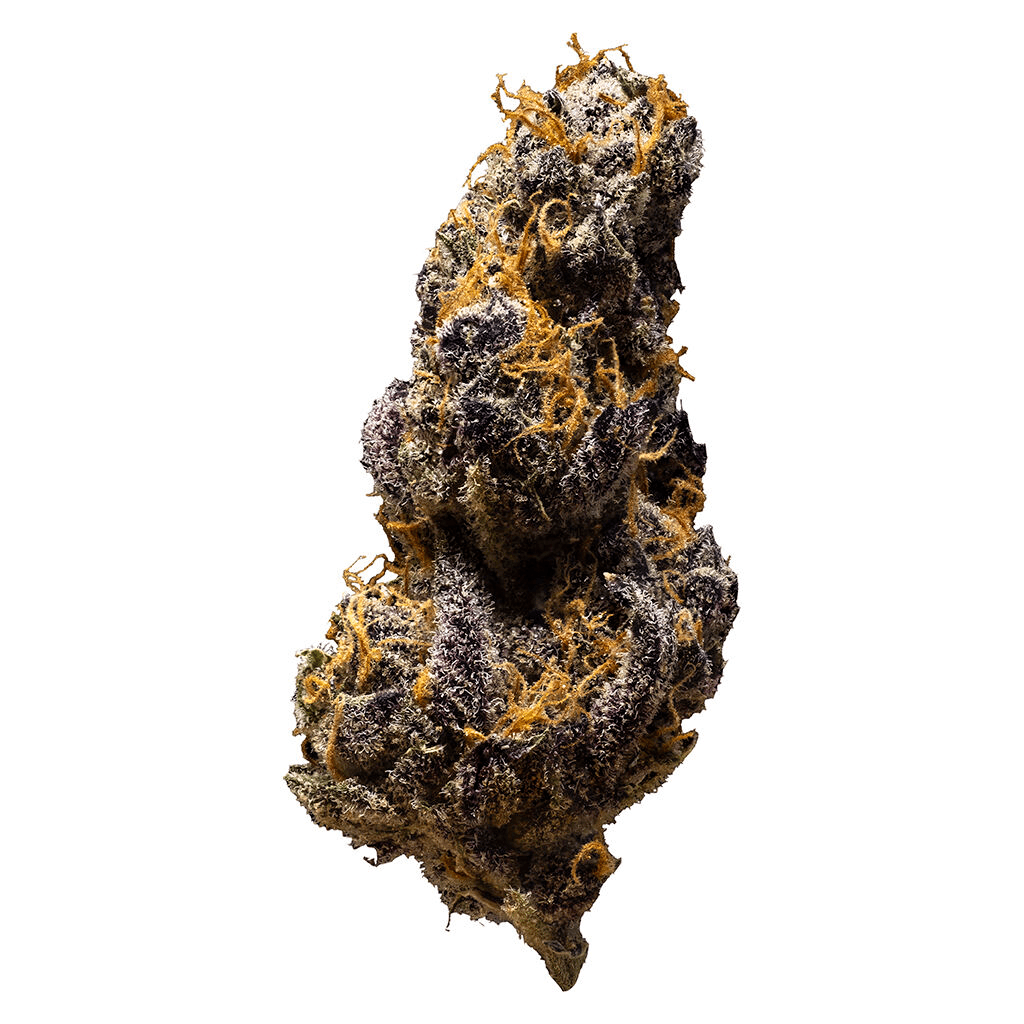 3rd Coast Genetics 3rd Coast Genetics Black Cheese