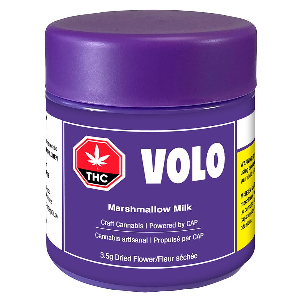 Volo
