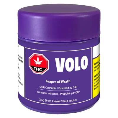 Volo