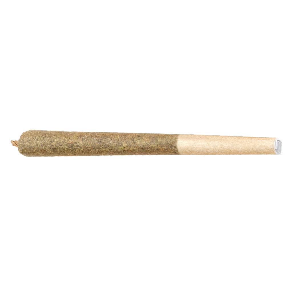 Bud Lafleur Moby Dick (White Widow x Haze) Pre-Roll - Sativa - 1x1g