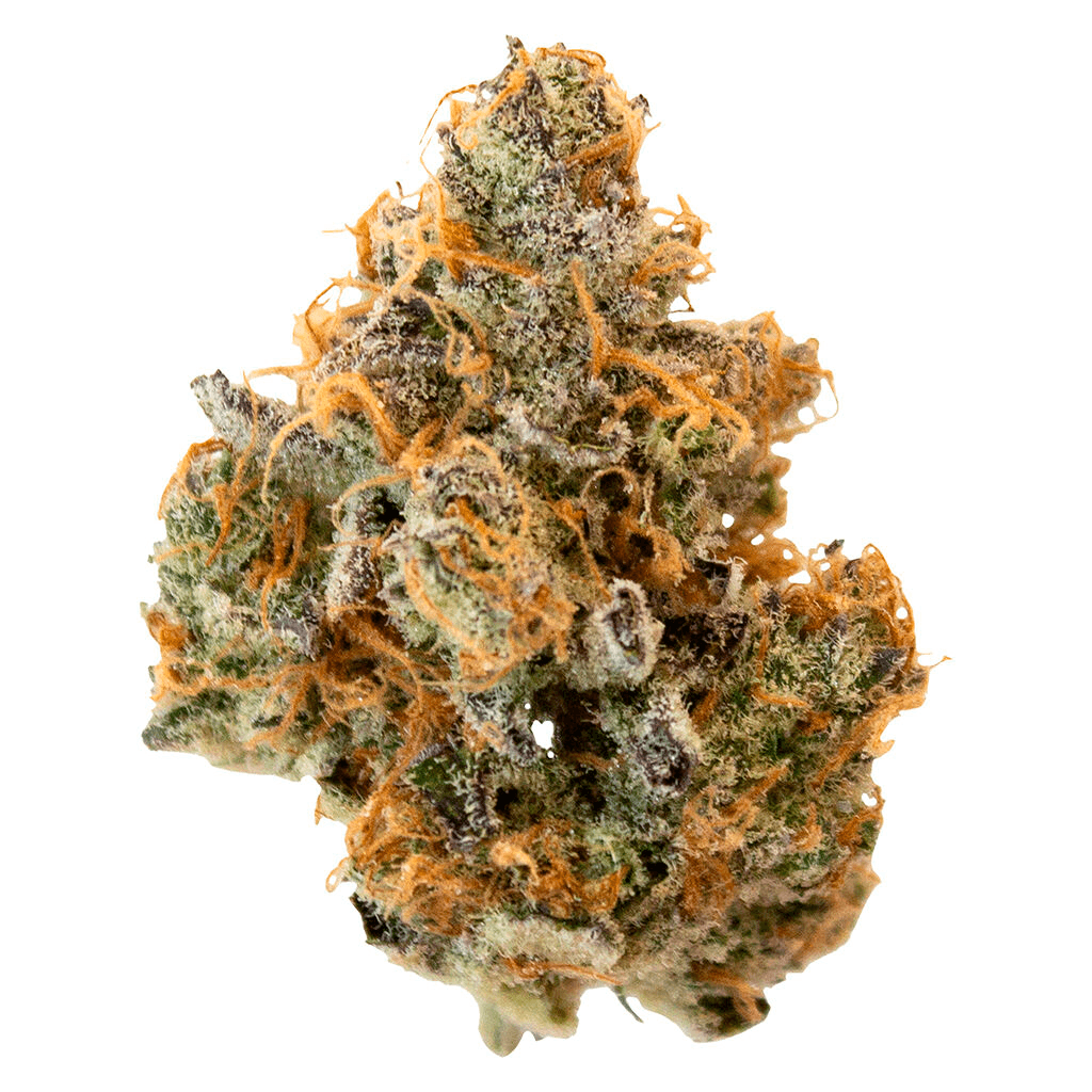 Pineapple Buds