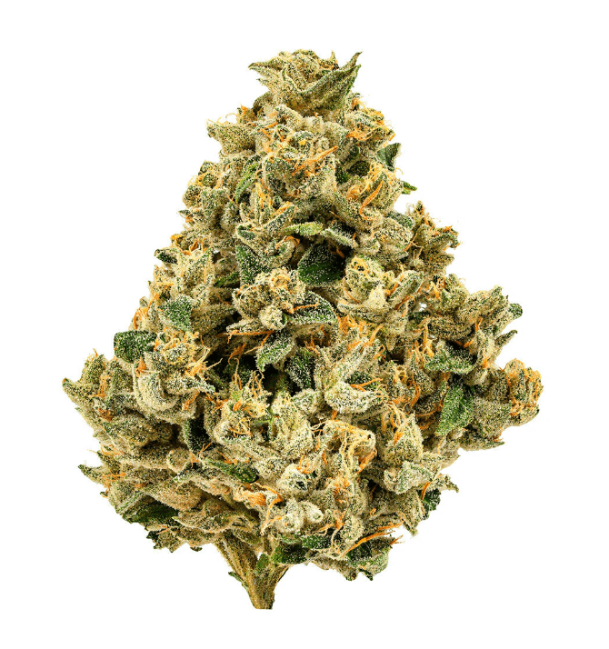 Cheers Cannabis