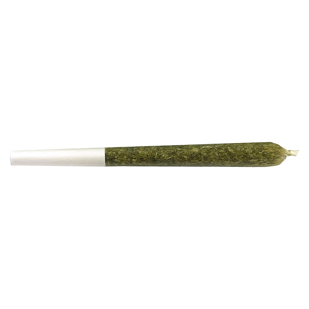 Volo