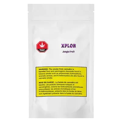 Xplor Jungle Fruit Cartridge | 1g