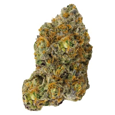 Versus Variant 14g Dried Flower