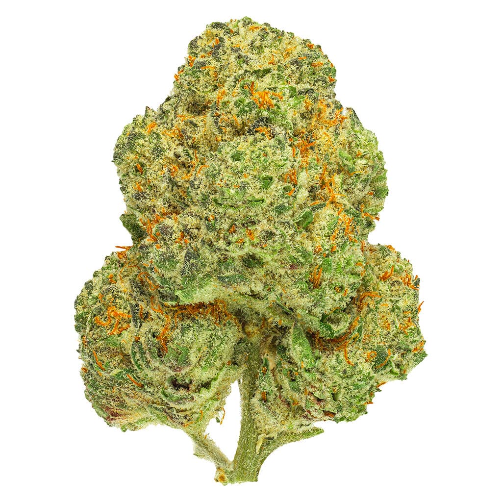 San Rafael '71 Chemango Kush - Indica