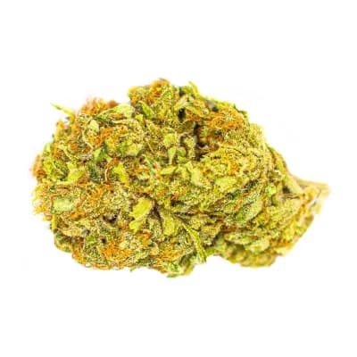 Color Cannabis Mango Haze - Sativa