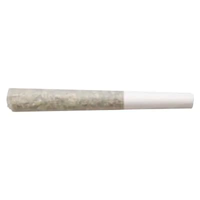 Truro Jealousy X Apples & Bananas Pre-Roll | 1X0.5G