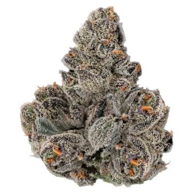KWALL Kwall - Gastro Pop - 3.5g Indica