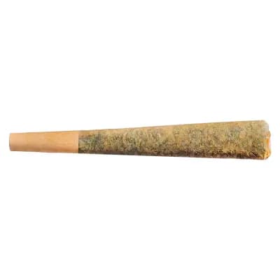 Fuego Night Rider Pre-Roll - 1x1g