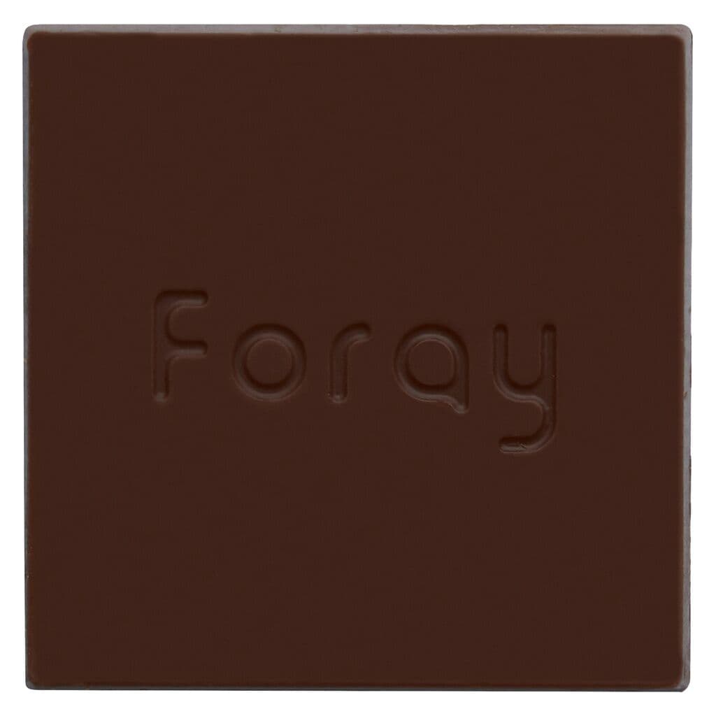 Foray