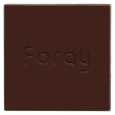 Foray