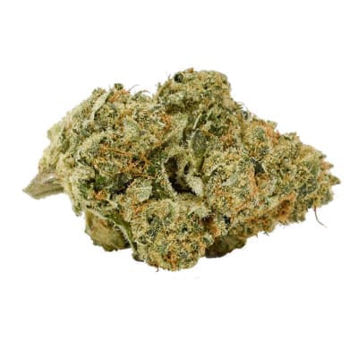 Cali Mmmosa EVO
