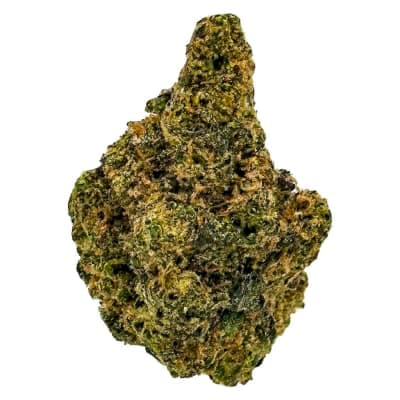 SKOSHA Purple Caviar