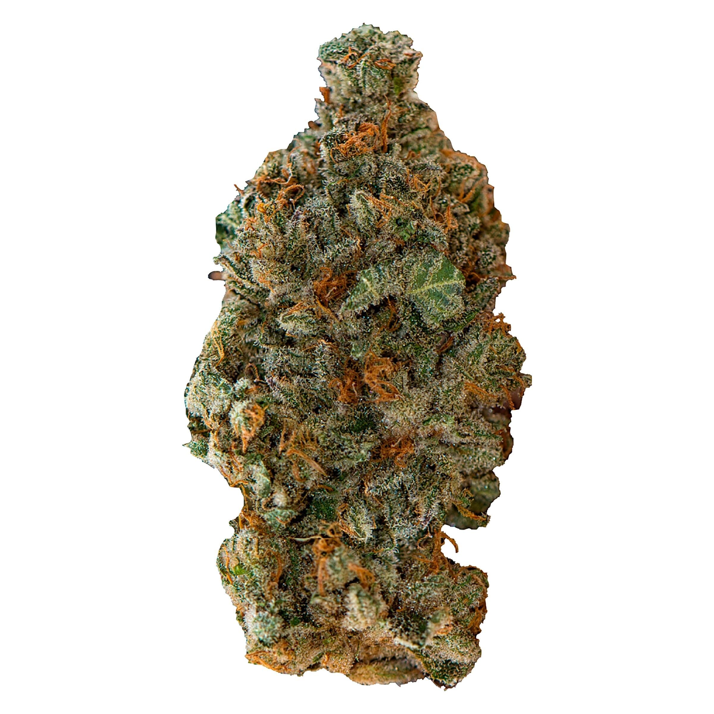 Versus Versus - GSC Flower - Indica