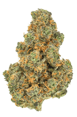 San Rafael '71 Pink Diesel '71