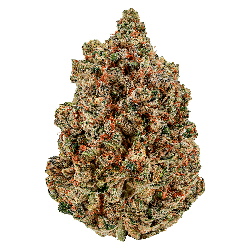 Cheers Cannabis