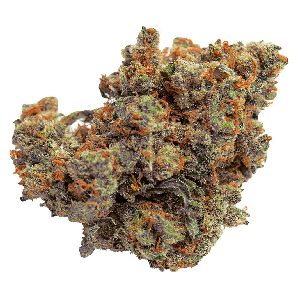 Qwest QWEST Lazer Jet Craft Whole Flower